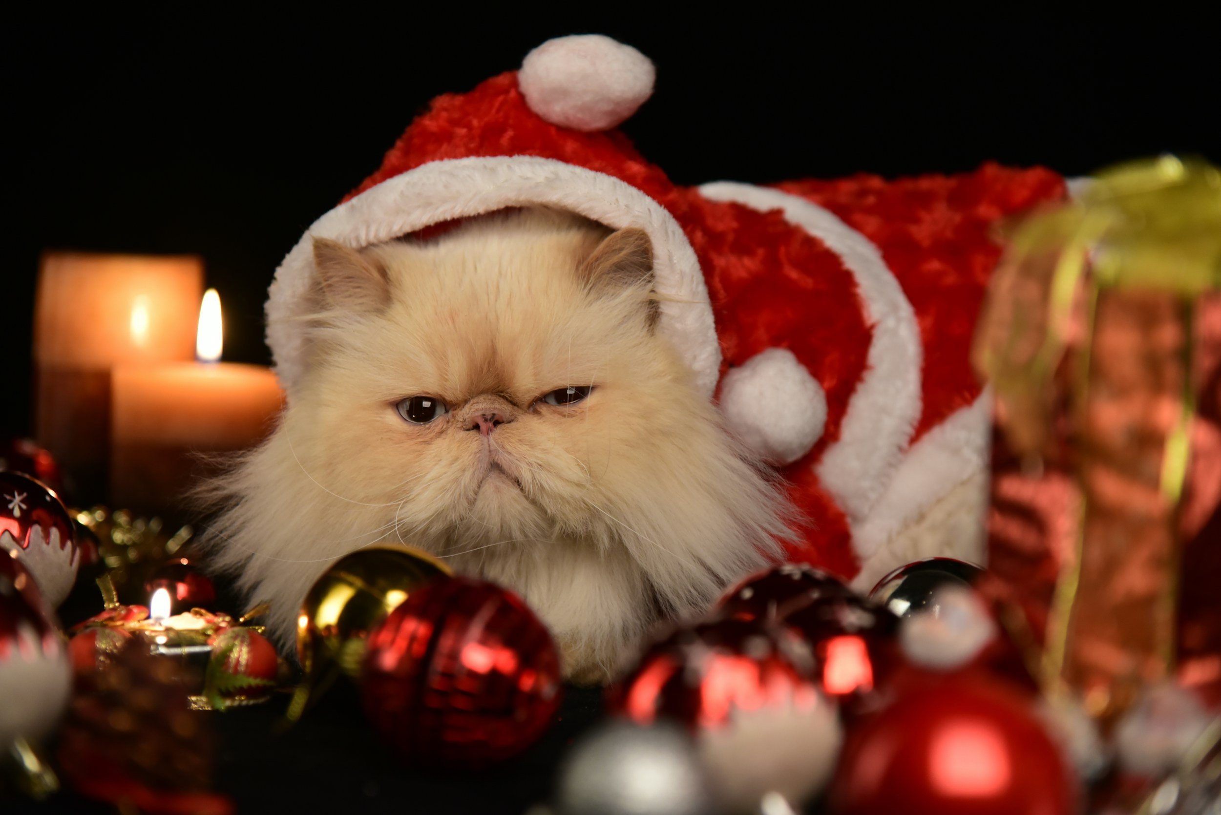 “Fa-la-la-la-flat” No More: Navigating Mental Health During the Holiday Season…